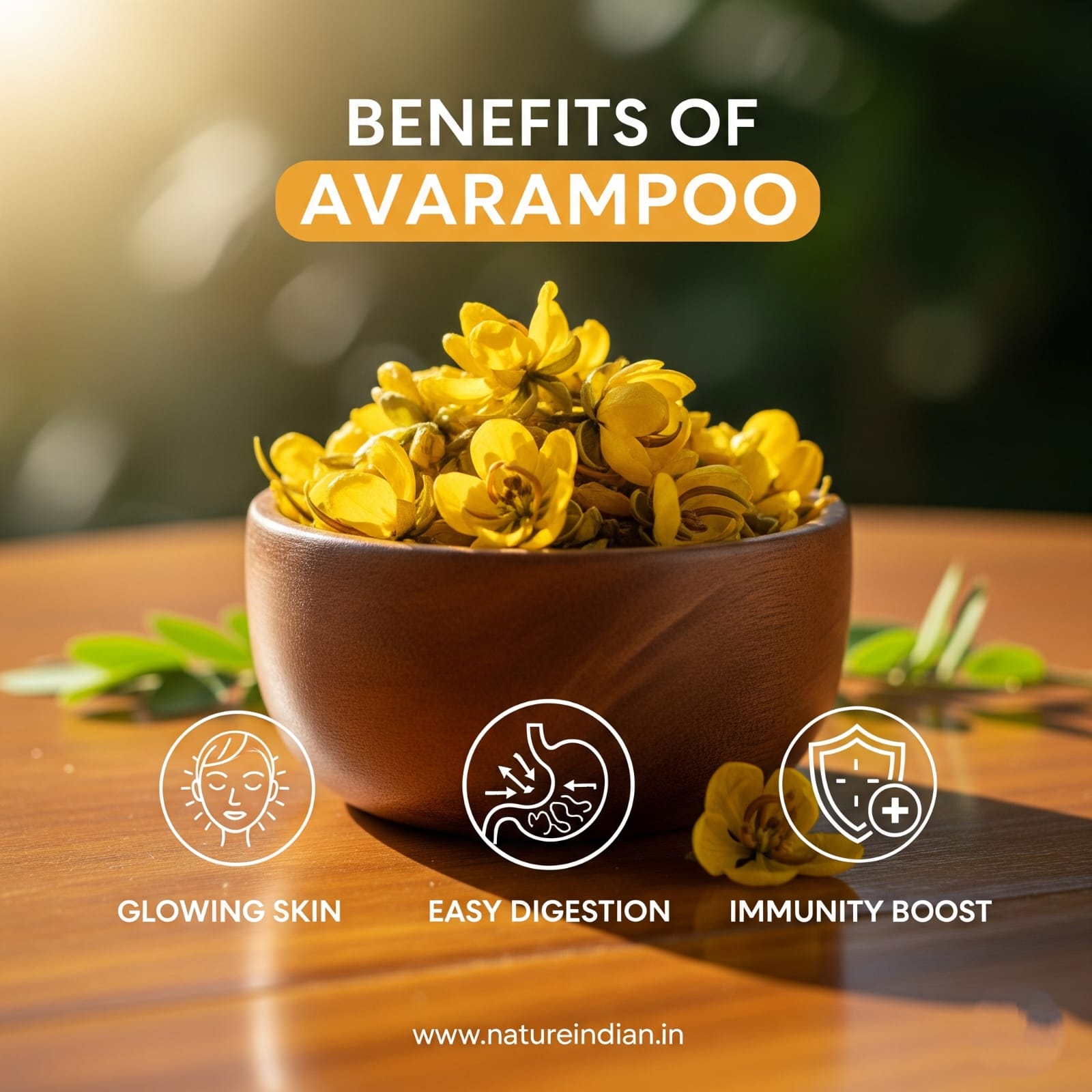 nature indian pure dried avarampoo (senna auriculata) 100g | natural herbal tea & skin nature indian pure dried avarampoo (senna auriculata) 100g | natural herbal tea & skin