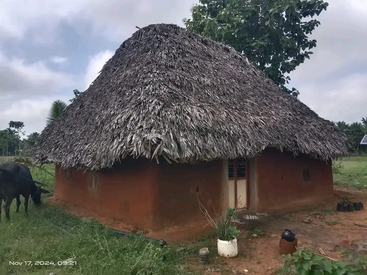 ni mud house
