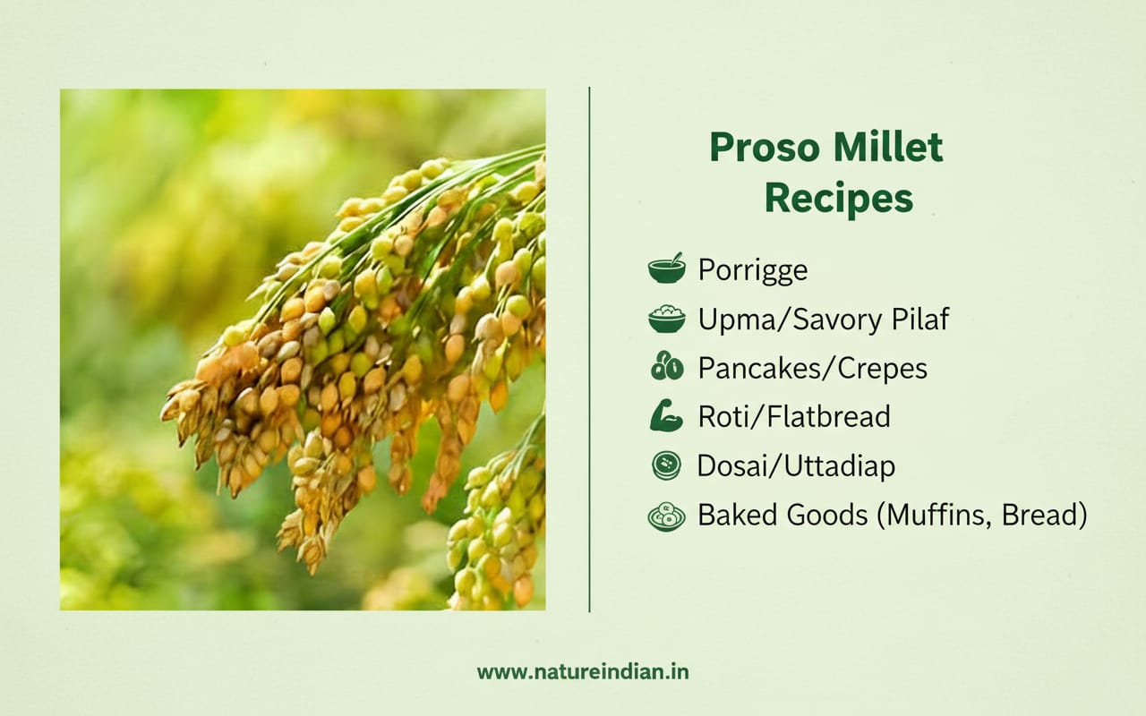 nature indian organic pani varagu (proso millet) 1kg | protein rich & nervous system booster ancient grain nature indian organic pani varagu (proso millet) 1kg | protein rich & nervous system booster ancient grain