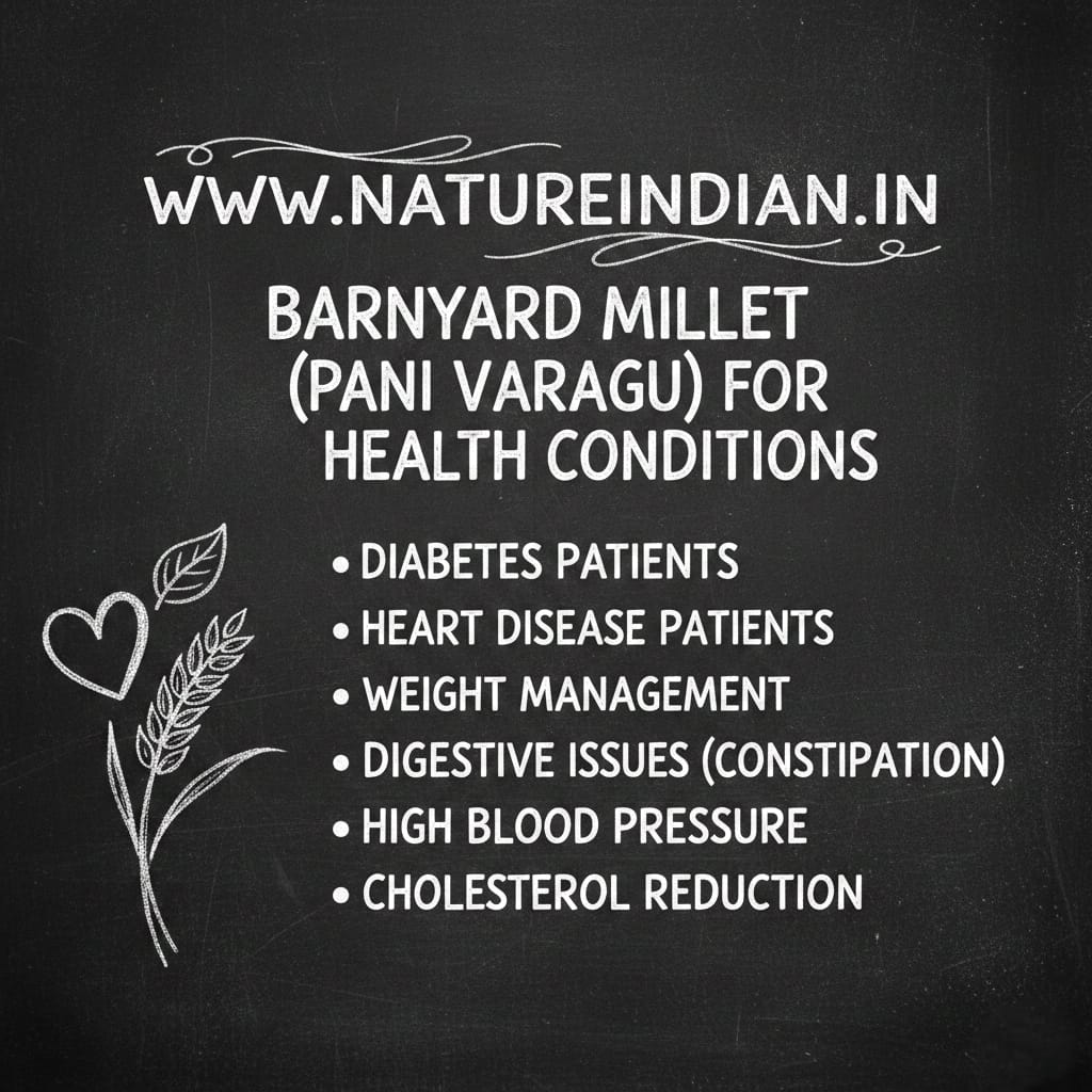 nature indian organic pani varagu (proso millet) 1kg | protein rich & nervous system booster ancient grain nature indian organic pani varagu (proso millet) 1kg | protein rich & nervous system booster ancient grain
